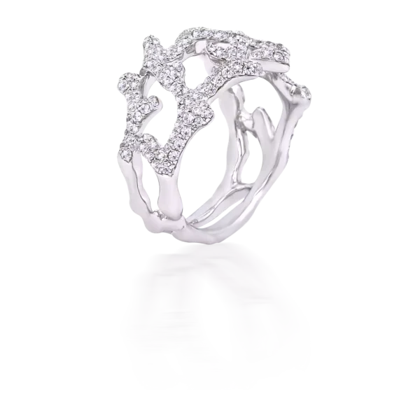 ABSTRACT RING