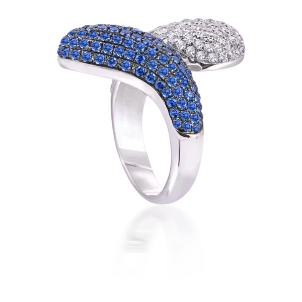 TWO OPPOSITES RING