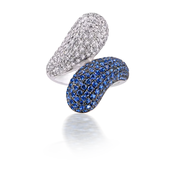 TWO OPPOSITES RING