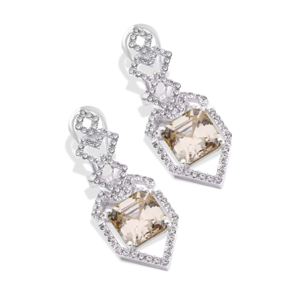 ABSTRACT EARRINGS