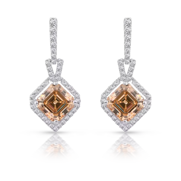 MAGNIFICENT LITTLE EARRINGS